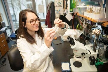 how-parasitic-fungus-h-1.jpg
