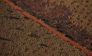 رازگشایی از دایره های جنی سرزمین بومیان استرالیا! / عکس