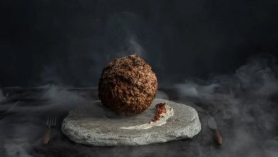 رونمایی از نخستین کوفته ماموت جهان؛ غذایی که هیچ‌کس اجازه خوردن آن را ندارد