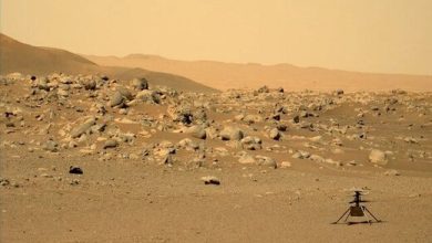 رکوردشکنی خارق‌العاده نبوغ در مریخ
