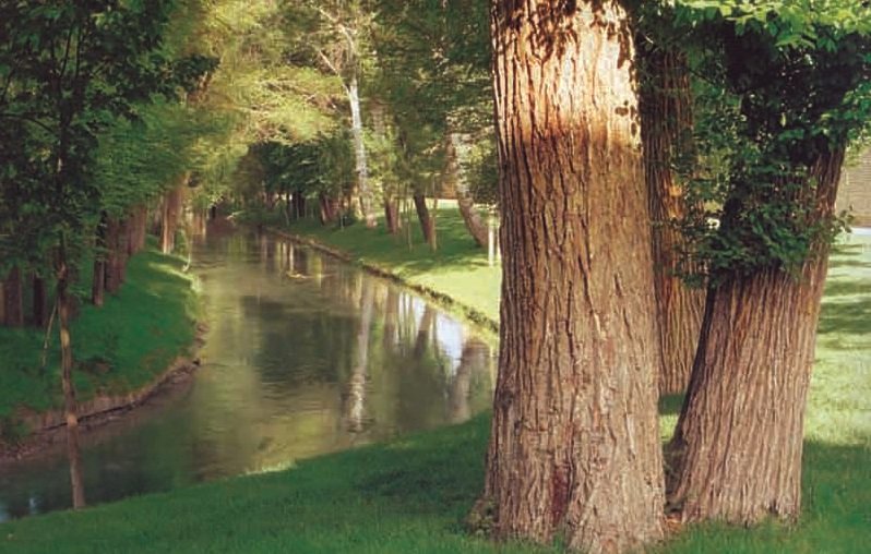 معرفی بناهای تاریخی نصفجهان/ از راهرویی زیرزمینی در «نقش جهان» تا حمام رازآلود شیخ بهایی