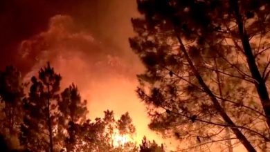 آتش‌سوزی گسترده در جنگل‌های مریوان/اعزام بالگردهوایی برای اطفا حریق‌ + تصاویر