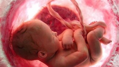آماری که وزیر بهداشت از پرونده‌های سقط جنین داد اشتباه است!