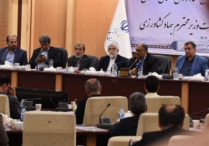 افزایش ۲ برابری کشت قراردادی در کشور در سال زراعی آینده