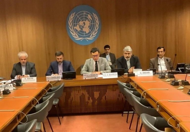 تشکیل هیئت حقیقتیاب از سوی شورای حقوق بشر علیه ایران اقدامی سیاسی است