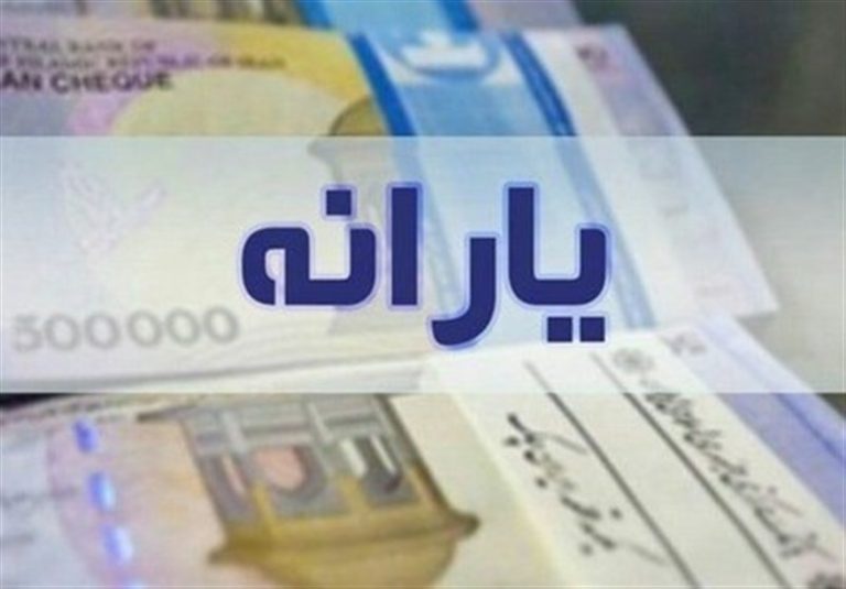 تناقض در منابع یارانه ۱۴۰۲/ چرا مصارف یارانه کالای اساسی از مابهالتفاوت پول نفت به تبصره ۱۴ منتقل شد؟