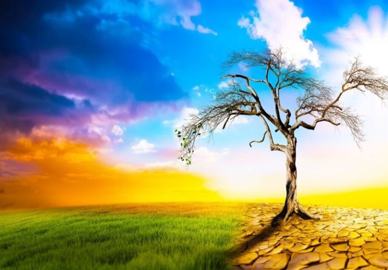 جولای ۲۰۲۳ ممکن است گرمترین ماه در تاریخ کره زمین باشد!