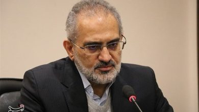 حسینی: لایحه همکاری‌های آموزشی و فرهنگی با پرتغال تقدیم مجلس شد