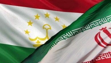 درخواست وزیر تندرستی تاجیکستان از ایران برای انتقال تجارب حوزه سلامت