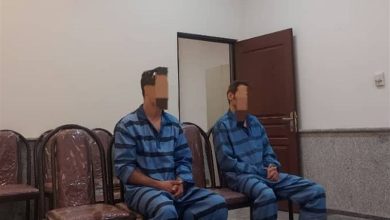 دستگیری ۲ عامل آتش‌زدن عمدی نخل کوشک اردستان