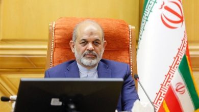 دیدار وزرای کشور ایران و عراق؛ تاکید بر آمادگی برای پذیرایی از زائران ایرانی در سفر اربعین