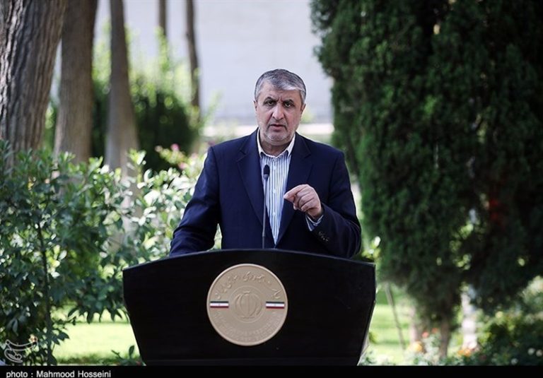 روابط ایران و آژانس بر مبنای پادمان و NPT است