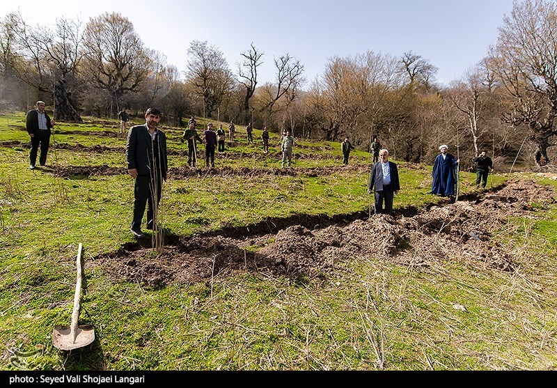 سازمان جنگلها مکلف به ارائه گزارش به مجلس از چگونگی اجرای طرح یک میلیارد درخت شد