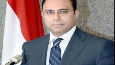 سخنگوی وزارت خارجه مصر از پیشرفت در روابط قاهره با تهران خبر داد