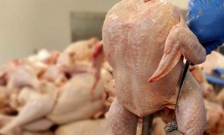 سرنوشت ۲۴۰ تن مرغ‌ منجمد وارداتی از ترکیه چه شد؟