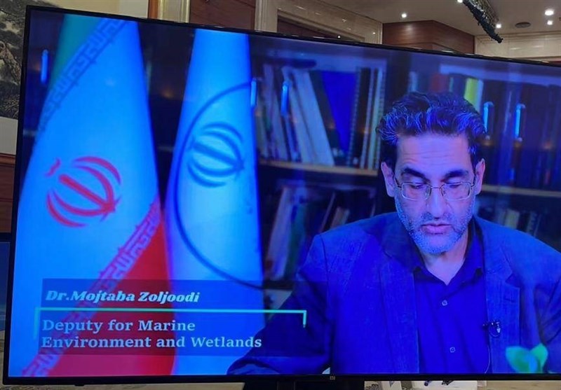 مرکز بینالمللی حفاظت از “مانگرو” ایجاد میشود/ وجود ۱۹۲ کیلومتر مربع “جنگل حرا” در ایران