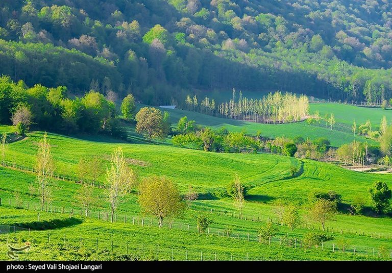 نقش غیرقابل انکار “چمنزارها” در مهار فرونشست/ تهدید چمنزارها به واسطه کشاورزی ناپایدار