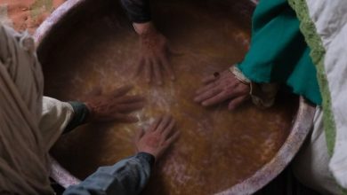 نماهنگ «بیعت آب‌ها»؛ روایتی کمتر شنیده‌شده درباره نقش زنان از غدیر تا کربلا+فیلم
