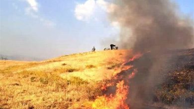 ۵ حریق مزارع کوهدشت در یک روز/ آتش‌سوزی در اراضی لرستان ادامه دارد