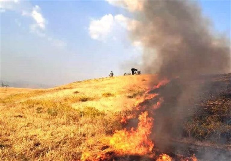 ۵ حریق مزارع کوهدشت در یک روز/ آتشسوزی در اراضی لرستان ادامه دارد