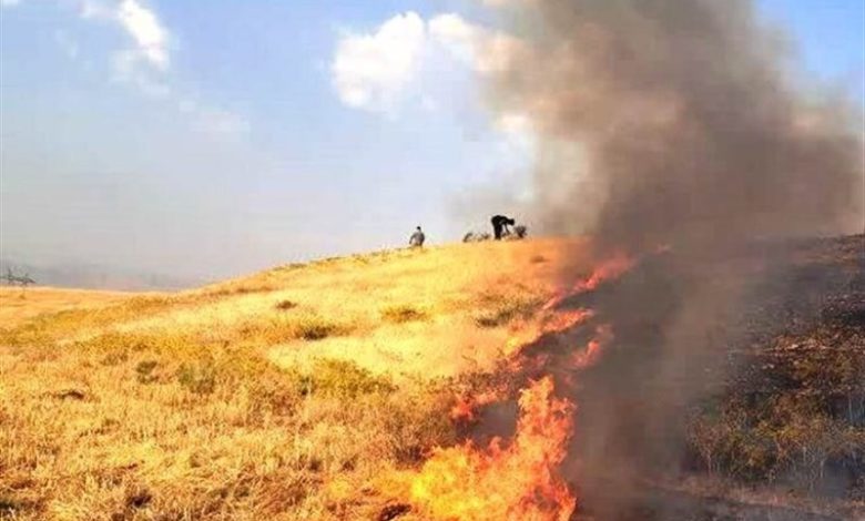 ۵ حریق مزارع کوهدشت در یک روز/ آتش‌سوزی در اراضی لرستان ادامه دارد