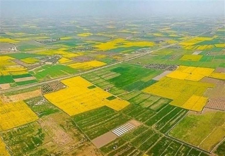 ۶چالش اعتبارزدایی از معاملات قولنامهای در حوزه زمینهای کشاورزی؛ راهکار رهایی چیست؟