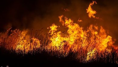 آتش‌سوزی جنگل‌های مریوان هنوز کاملا مهار نشده است‌/ استقرار ۳ بالگرد اعزامی در مریوان