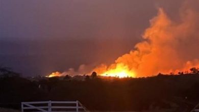 آخرین جزئیات از آتش‌سوزی در هاوایی؛ مرگ ۵۳ نفر در این آتش‌سوزی مرگبار