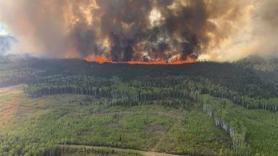 آمار کشته‌های آتش‌سوزی جنگلی در لاهینا آمریکا به ۸۹ نفر رسید