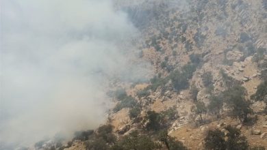 تداوم آتش‌سوزی در جنگل‌های روستاهای مرزی مریوان/ اعزام دومین بالگرد به منطقه + فیلم