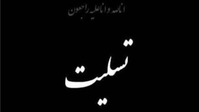 تسلیت رئیس سازمان بسیج دانشجویی در پی درگذشت دانشجوی جهادی