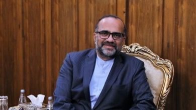 تشکر رئیس دفتر حفاظت منافع ایران از رئیس جمهور مصر
