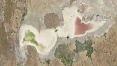 تکذیب مرگ “دریاچه ارومیه”/ افزایش ۱۴۰هزارهکتاری سطح زیرکشت حوزه آبخیز این دریاچه! + تصویر ماهواره‌ای