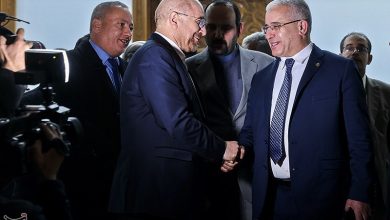 رئیس مجلس الجزایر وارد ایران شد
