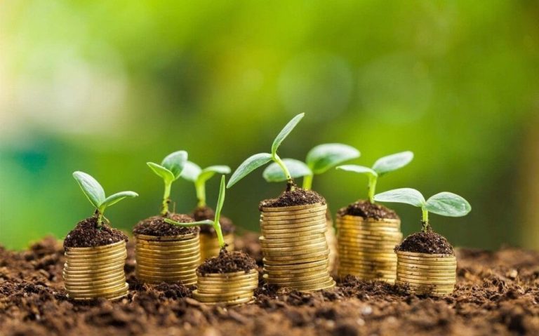 شرکتهای زیانده دولتی به بهانه حمایت از محیط زیست “سبزشویی” میکنند!