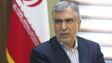 ظهره‌وند: عضویت ایران در بریکس، پایان سیاست تحریمی غرب است