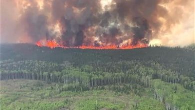 مساحت “آتش‌سوزی‌های جنگلی کانادا” از ابتدای امسال بیش از مساحت کره جنوبی بوده است!
