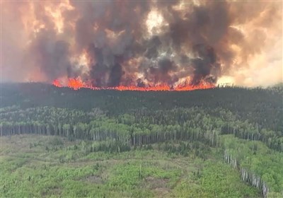 مساحت “آتش‌سوزی‌های جنگلی کانادا” از ابتدای امسال بیش از مساحت کره جنوبی بوده است!