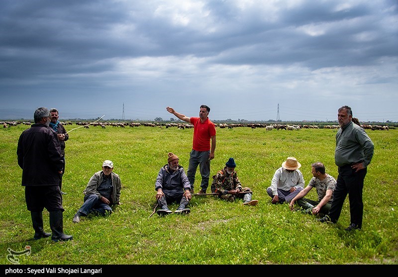“پتروشیمی میانکاله” تهدیدی برای معیشت و در تضاد با منافع مردم مازندران
