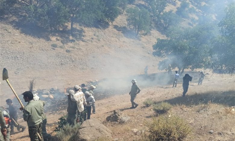 ۵ نفر از عوامل آتش‌سوزی مراتع و جنگل‌های کهگیلویه و بویراحمد دستگیر شدند