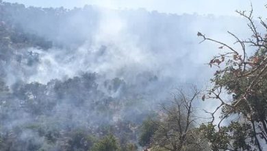 ۹۰ درصد آتش‌سوزی‌ جنگل‌های مریوان اطفا شد