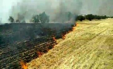 آتش سوزی در ۱۰۰۰ هکتار از مراتع و جنگلهای لرستان در سال جاری