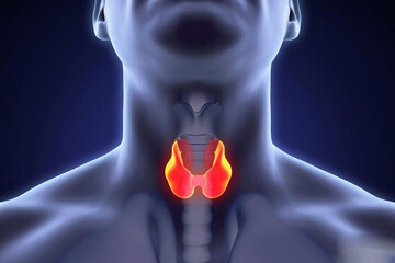 تیروئید کم‌کار را در خانه درمان کنید/  ۵ درمان طبیعی برای کم‌کاری تیروئید