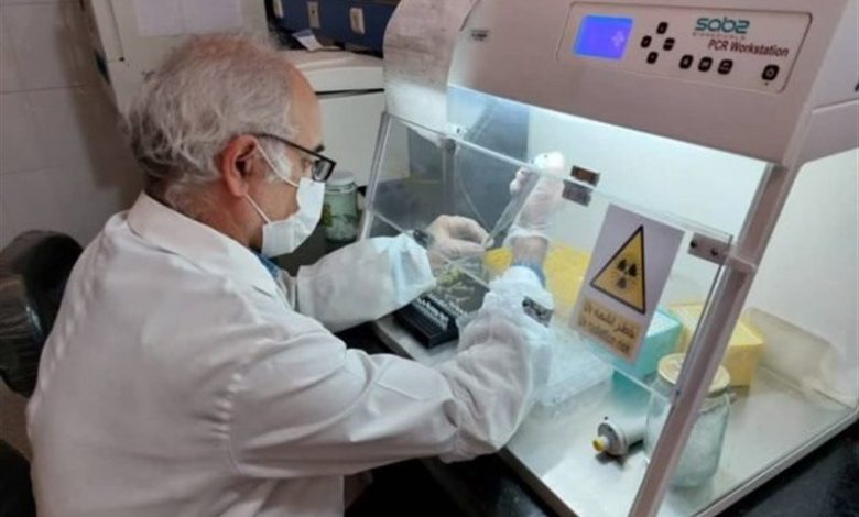 دستیابی محققان ایرانی به روش درمانی جدید برای درمان بیماری “تصلب شرائین”