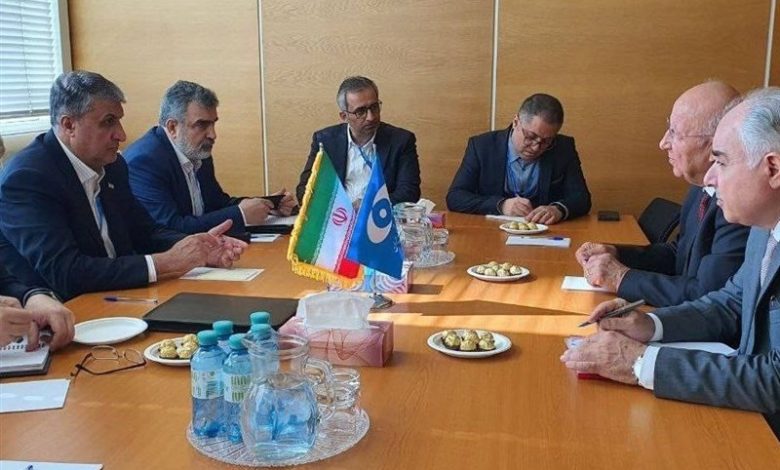 دیدار اسلامی با رئیس کمیسیون انرژی اتمی پاکستان