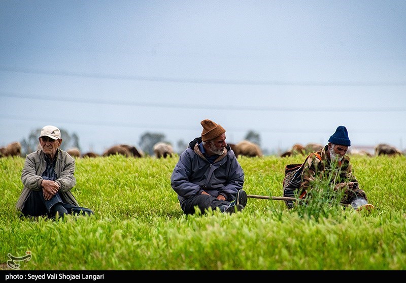 علت تعلل پرابهام “سازمان امور اراضی” در بازپسگیری زمین “پتروشیمی میانکاله” چیست!؟
