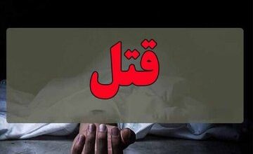 قتل همسر به دلیل اختلاف مالی در جنوب تهران