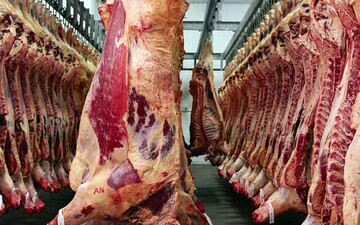قیمت گوشت این‌گونه می‌شود/ خبر مهم قائم‌مقام وزیر جهادکشاورزی درباره قیمت گوشت