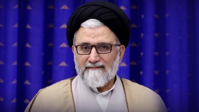 وزیر اطلاعات: ۱۹۰ تروریست در سال جاری دستگیر شدند/ ۲۰ درصد آنها در تهران بودند