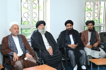 پیامدهای اقدام طالبان در حذف علمای شیعه از ترکیب شورای علما